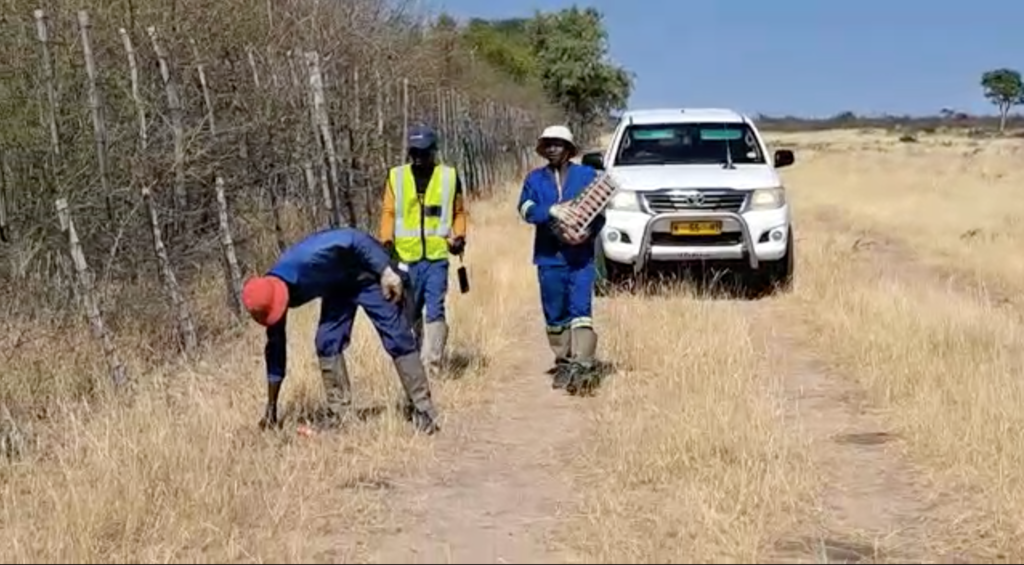 Monitor MEL 2D Seismic Test Survey in Owambo basin